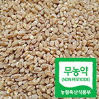 [무농약재배]친환경 통밀쌀5kg